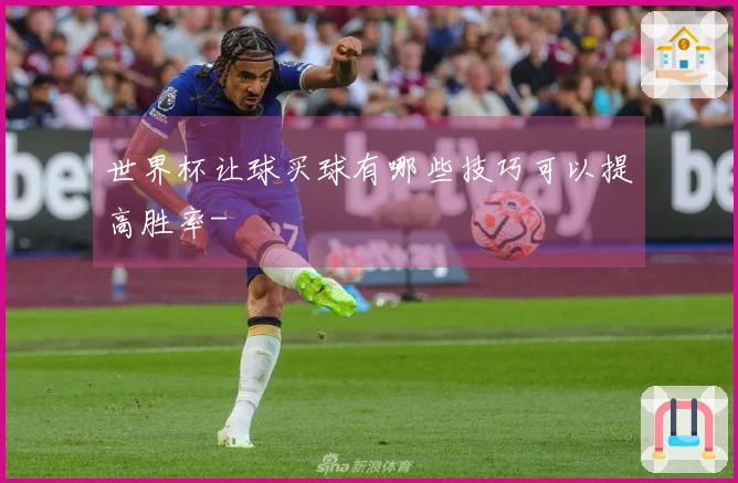 世界杯让球买球有哪些技巧可以提高胜率-