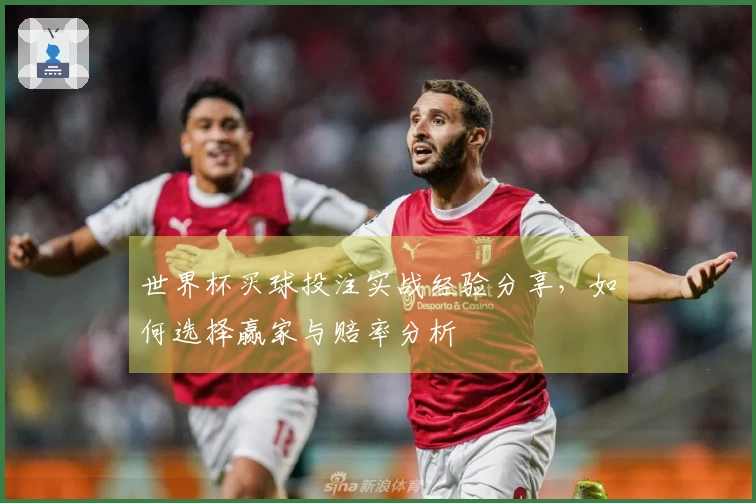 世界杯买球投注实战经验分享，如何选择赢家与赔率分析