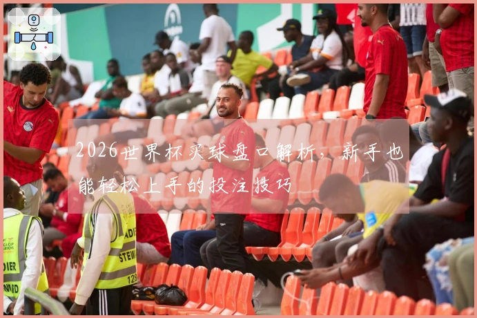 2026世界杯买球盘口解析，新手也能轻松上手的投注技巧