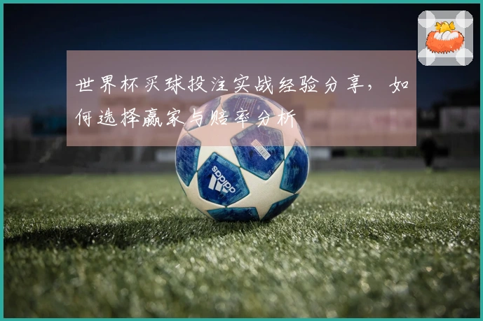 世界杯买球投注实战经验分享，如何选择赢家与赔率分析