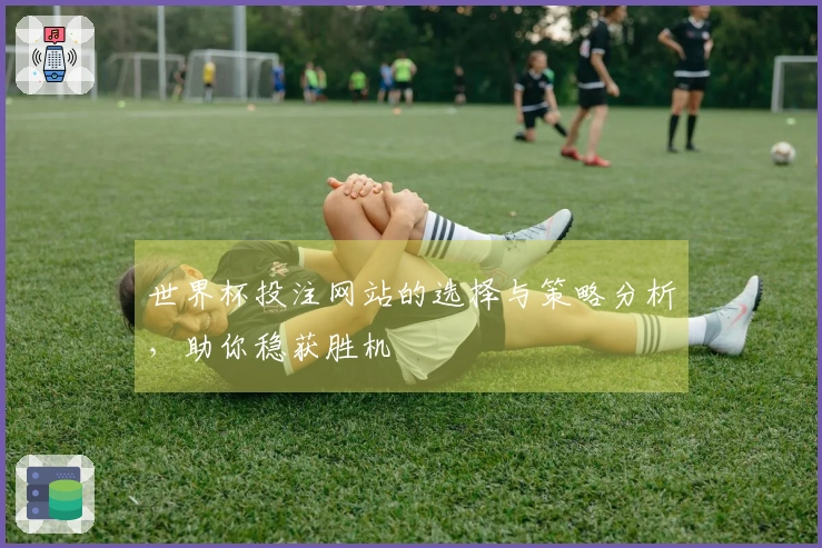 世界杯投注网站的选择与策略分析，助你稳获胜机