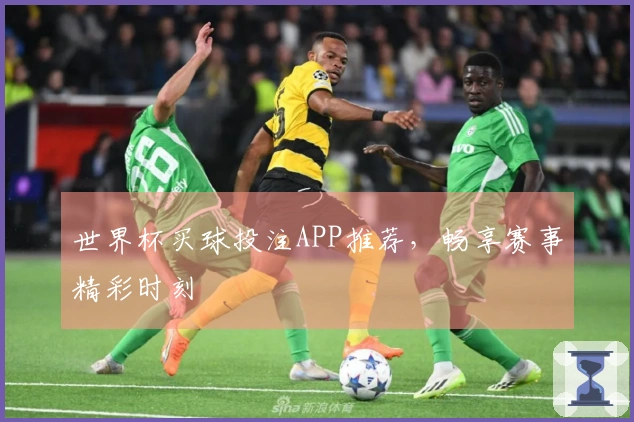 世界杯买球投注APP推荐，畅享赛事精彩时刻