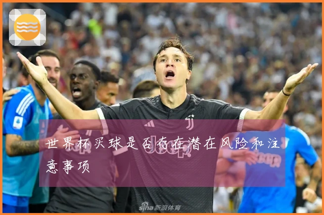世界杯买球是否存在潜在风险和注意事项