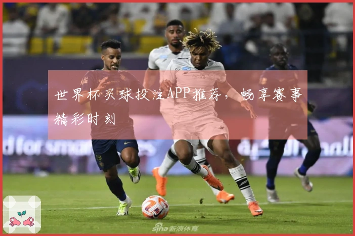 世界杯买球投注APP推荐，畅享赛事精彩时刻