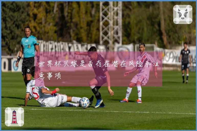 世界杯买球是否存在潜在风险和注意事项